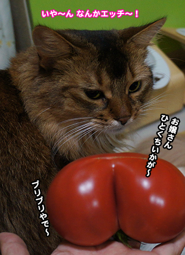 tomato6791.jpg