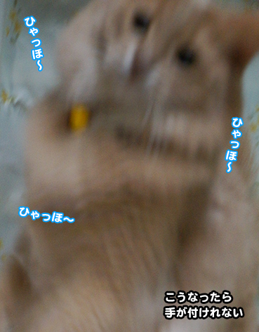 maro3488.jpg