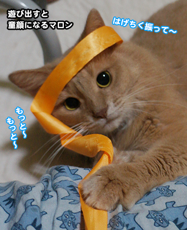 maro3482.jpg