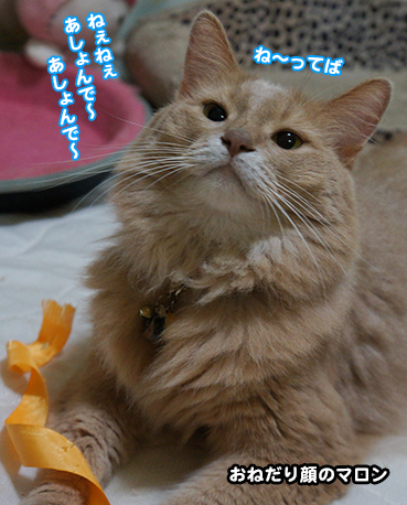 maro3475.jpg