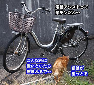 jite6973.jpg