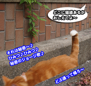 himitu0529.jpg