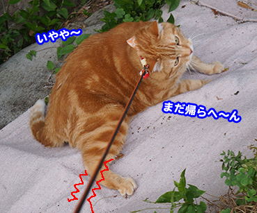 himitu0502.jpg