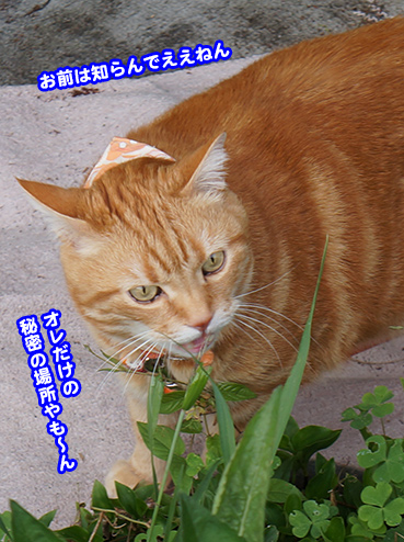 himitu0501.jpg