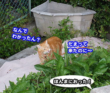 himitu0495.jpg