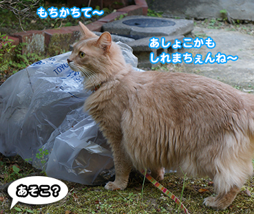 himitu9621.jpg