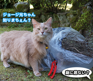 himitu9627.jpg