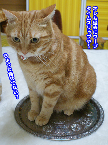 tenso9859.jpg