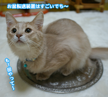 tenso9871.jpg