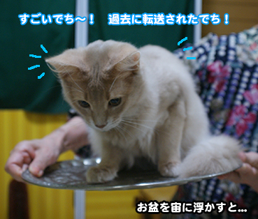 tenso9867.jpg