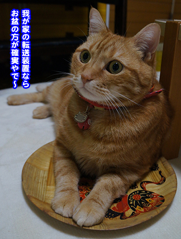 tenso6879.jpg