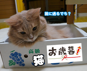 hako5670.jpg