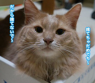 hako6888.jpg