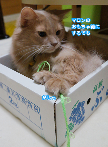 hako5665.jpg