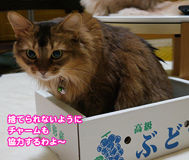 hako5626.jpg