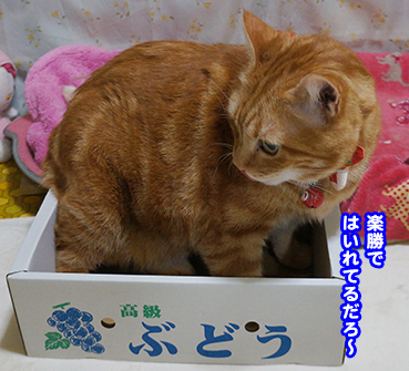 hako5648.jpg
