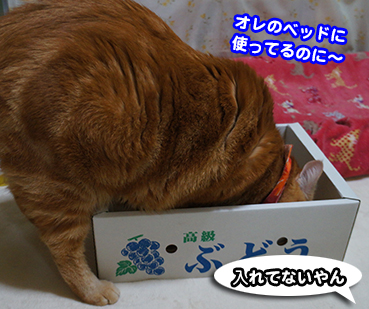 hako5639.jpg