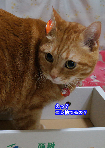 hako5636.jpg
