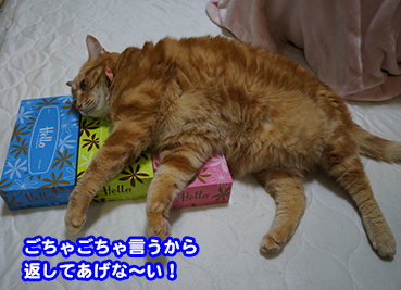 t0301.jpg