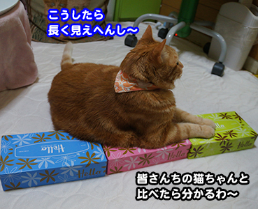 t0289.jpg