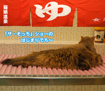 yu7753.jpg