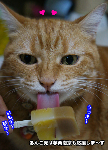 20130904_567018.jpg