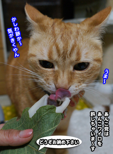 20130501_438868.jpg