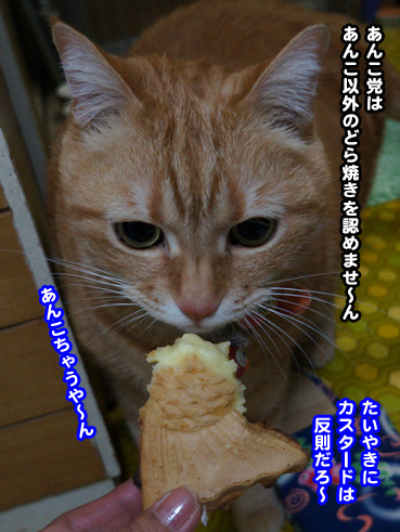 20130604_477599.jpg