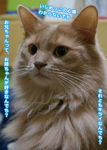 iji9988.jpg