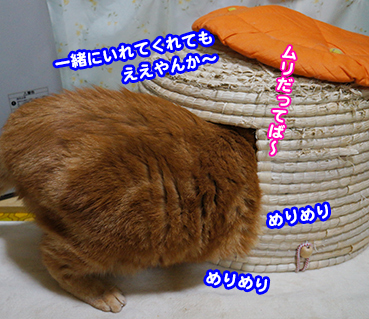 iji9789.jpg