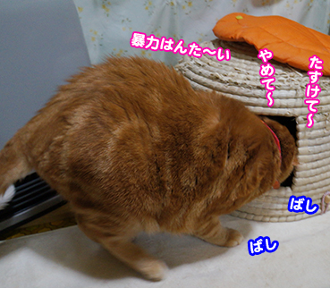 iji9790.jpg