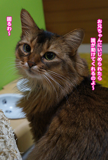 iji9990.jpg