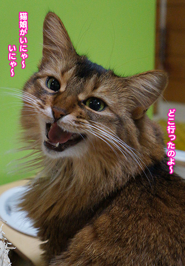 iji9991.jpg