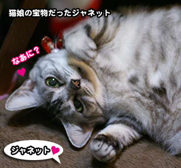 j0628.jpg