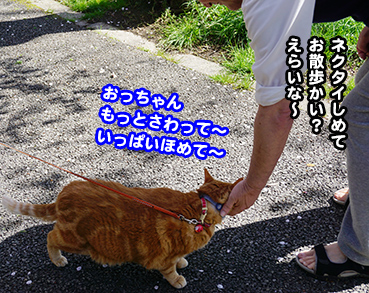 ne3097.jpg