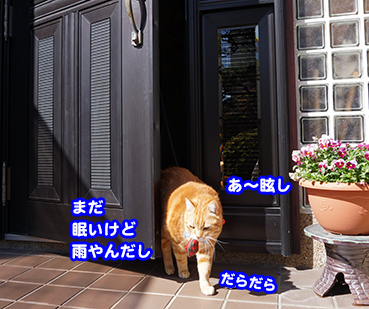 ne2928.jpg
