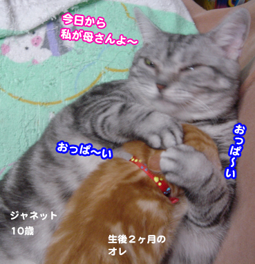 0_1714_1.jpg