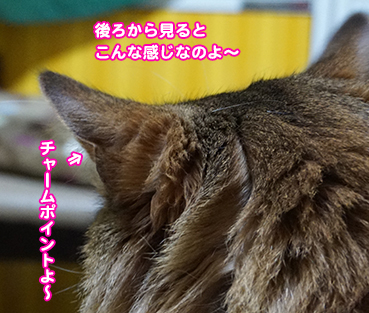 0591.jpg