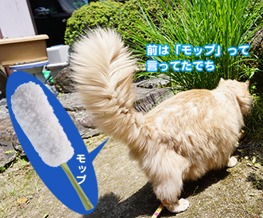 6640モップ.jpg