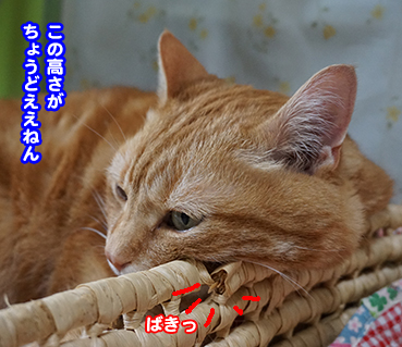 8661.jpg