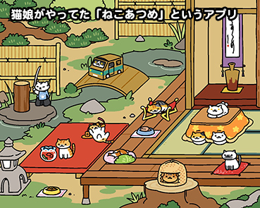 21 ねこあつめ お散歩大好き猫ブログ