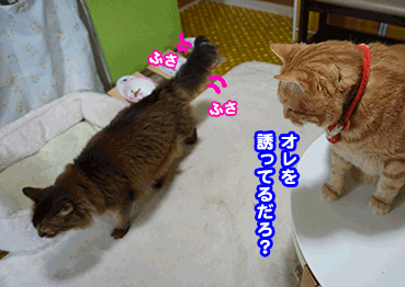 8115.gif
