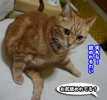 4657.jpg