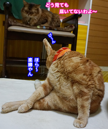 4662.jpg