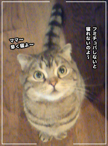 NEC_0596.jpg