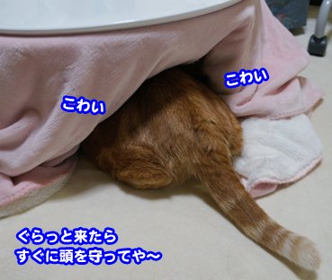 3280_1.jpg