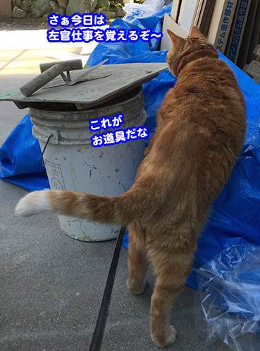 扇屋】時代 鉄製 猫 置物 高さ 約14cm 幅 約25.5cm×約15.5cm