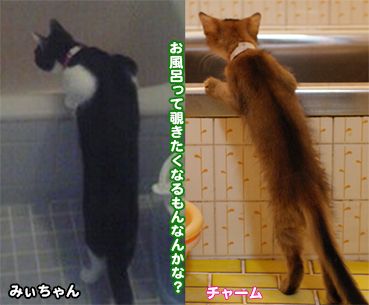03.jpg