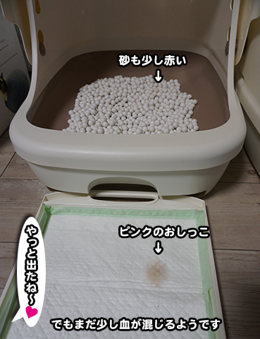 7893.jpg