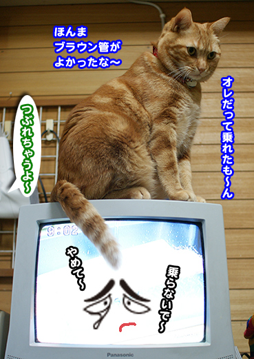 3580.昔のテレビ | お散歩大好き猫ブログ